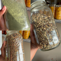 Paradise Kit (Includes 3 Mixes) The Ultimate Reset
